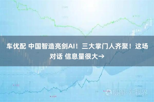 车优配 中国智造亮剑AI！三大掌门人齐聚！这场对话 信息量很大→